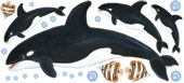 Orca Whales