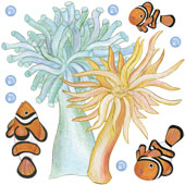 Sea Creatures Variety