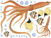 Squid